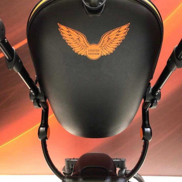 коляска 2 в 1 Mima Xari Rebel Limited Edition детская