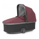 Berry